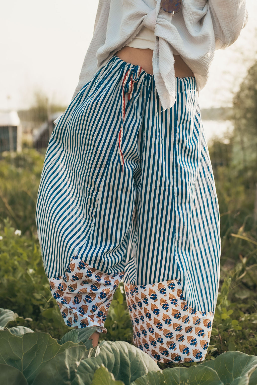 Stripes and Blue Iris