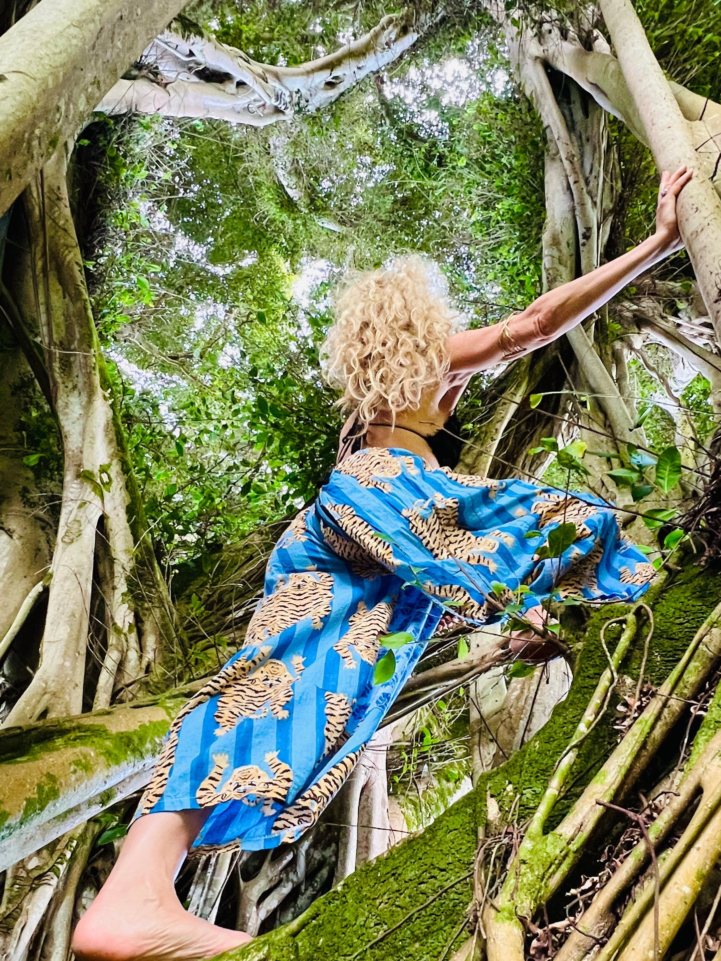 Person in a blue patterned dress standing among large tree roots in a forest