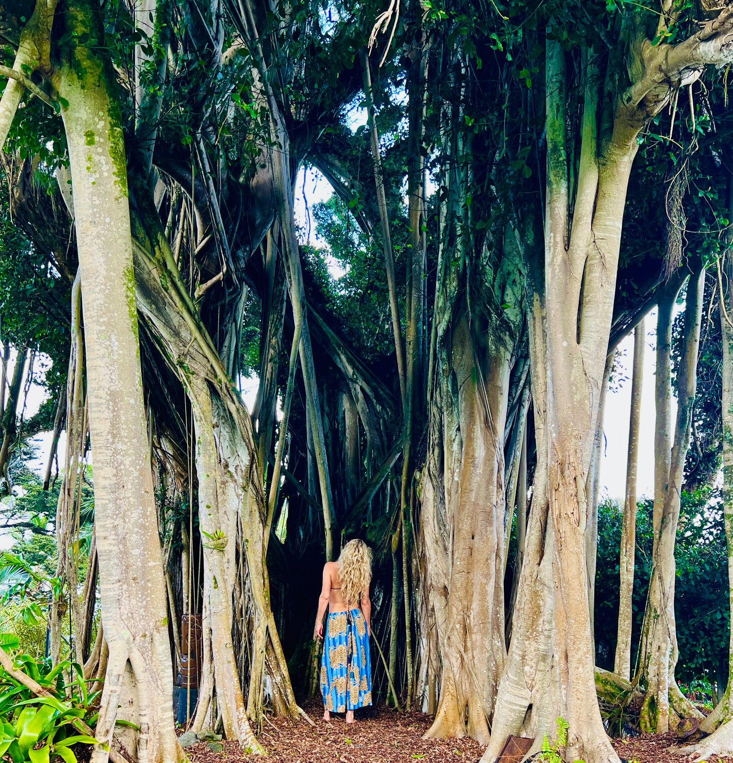 Person in a blue dress standing among large tropical trees