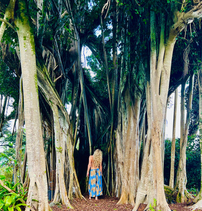 Person in a blue dress standing among large tropical trees